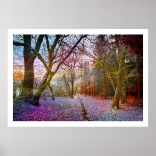 Poster Paysage hivernal des forêts enchantées