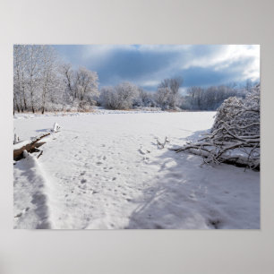 Poster paysage hivernal le long de l'étang et des forêts