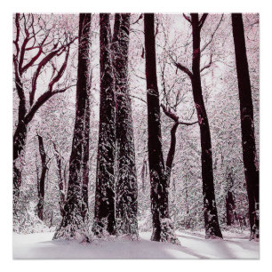 POSTER PAYSAGE HIVERNAL NEIGEUX DES BOIS FORESTIERS