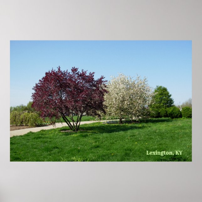Poster Paysage magnifique avec arbres (Devant)