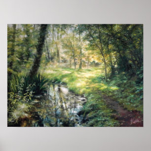 Poster Paysage naturel dans une forêt avec une rivière