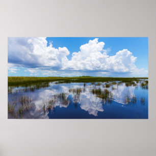 Poster Paysage naturel des Everglades
