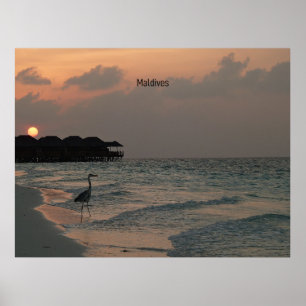 Poster Paysage pittoresque des Maldives