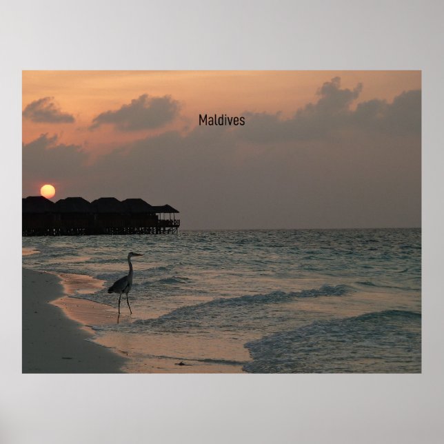 Poster Paysage pittoresque des Maldives (Devant)