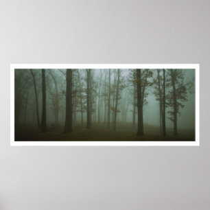 Poster Paysage sombre panoramique de forêt
