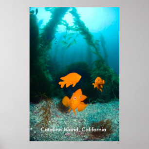 Poster Paysage sous-marin