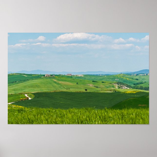Poster Paysage typique de Toscane (Devant)