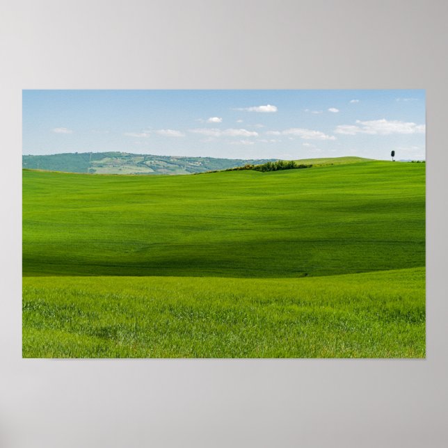 Poster Paysage typique de Toscane (Devant)