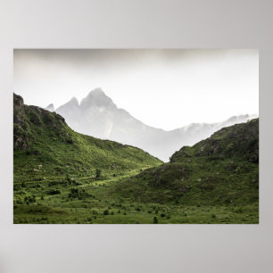Poster Paysage vert Lofoten