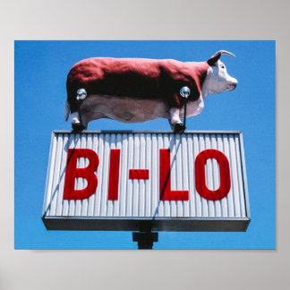 Poster Paysage vintage-américain