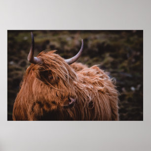 POSTER PAYSAGES DRAMATIQUES ET HUMIDES INSPIRÉS PAR L'NAT