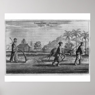 Poster Paysans chinois, une description générale d'un ac