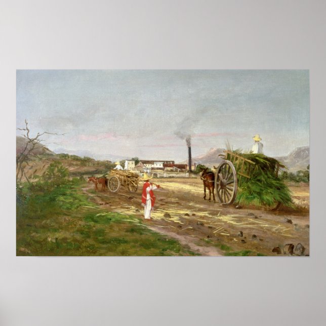 Poster Paysans ramassant la canne à sucre (Devant)