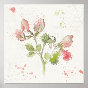Poster Pea watercolor