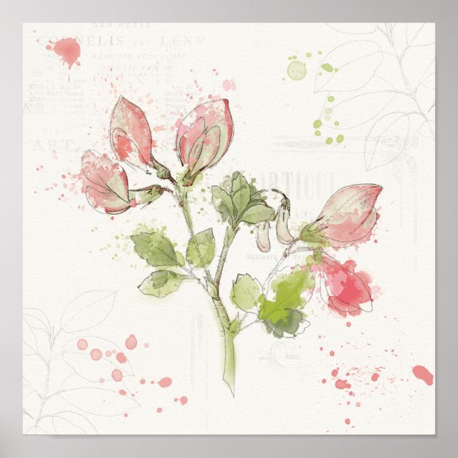 Poster Pea watercolor (Devant)