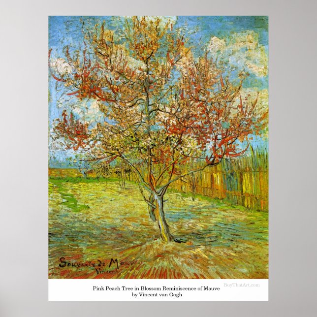 Poster Peach Tree rose en fleurs par Vincent van Gogh (Devant)