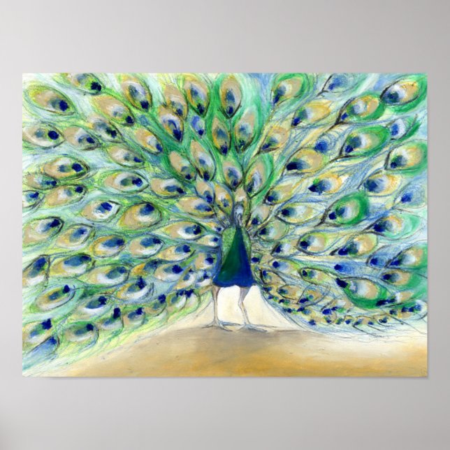 Poster Peacock à San Diego 2 2013 (Devant)