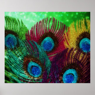 Poster Peacock coloré