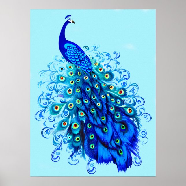 Poster Peacock en bleu turquoise et cobalt (Devant)