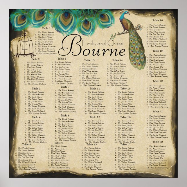 Poster Peacock Feather Bird Cage Reception Carte de siège (Devant)