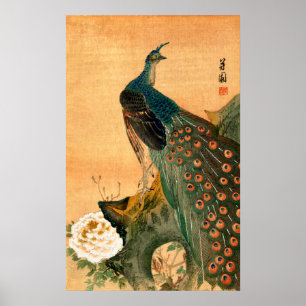Poster Peacock japonais n° 2