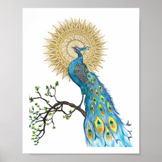 Poster Peacock Mandala 8x10 Imprimer