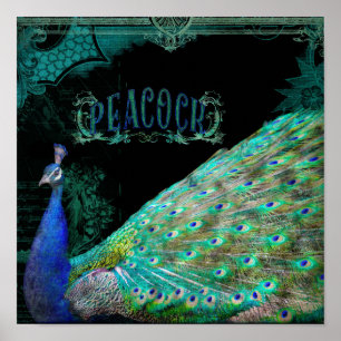 Poster Peacock Vintage moderne Elégant Wall Art Vue latér