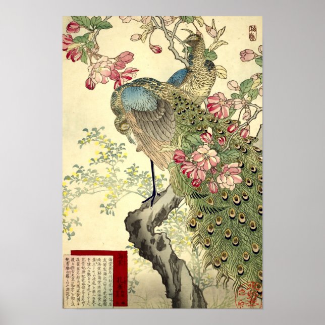Poster Peacocks & Crabappy Vintage Japonais (Devant)