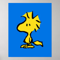 Peanuts | Snoopy's Friend Woodstock