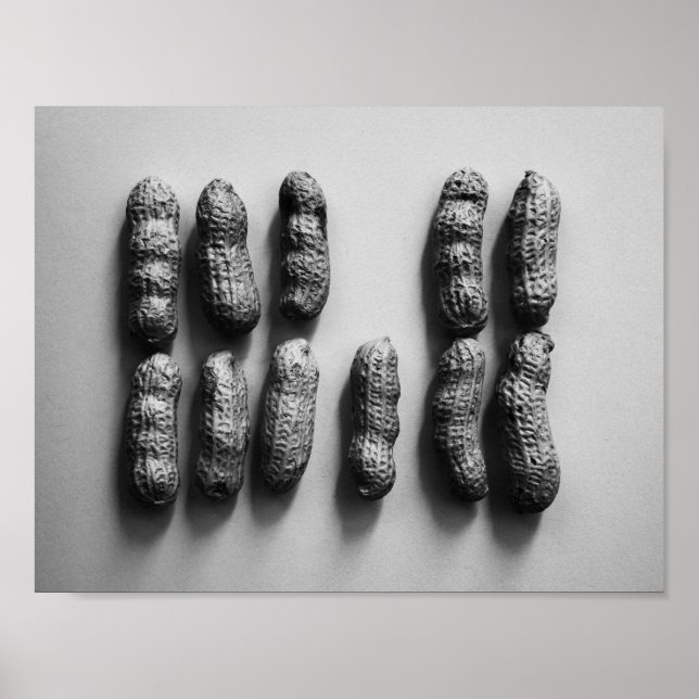 Poster Peanuts Still Life Fine Art Photographie (Devant)
