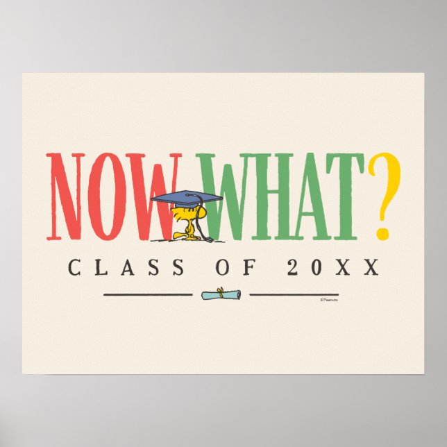 Poster Peanuts Woodstock Now What Graduation Funny Quote (Devant)