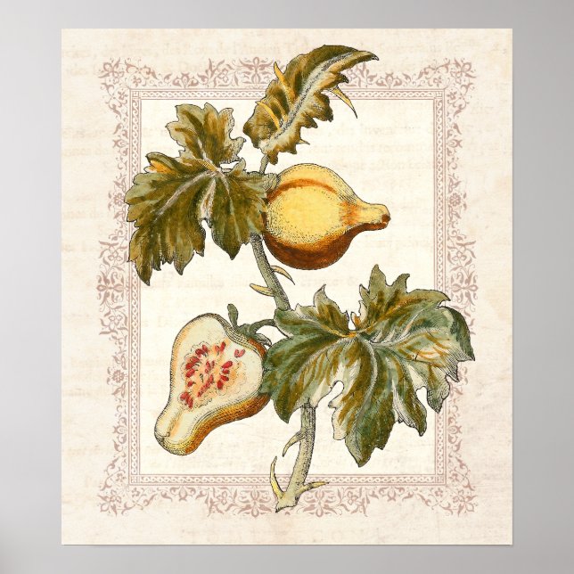 Poster Pear Fruité Solanum Country Décor Cuisine (Devant)