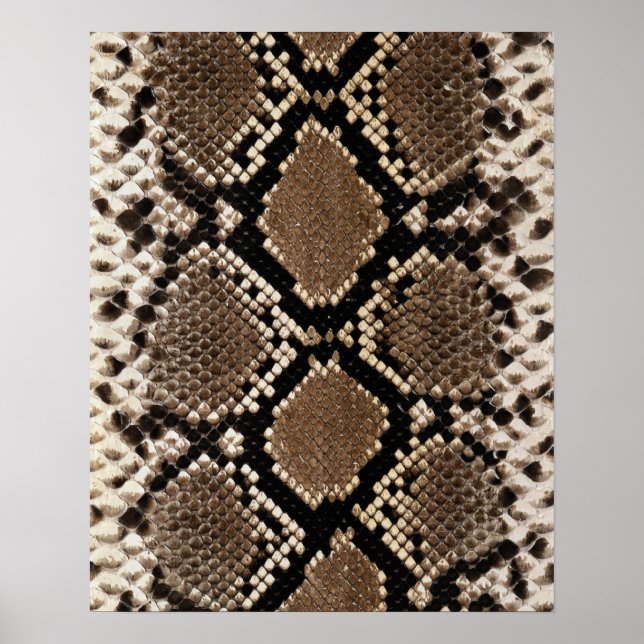 Poster Peau de serpent à sonnette Diamond Back (Devant)