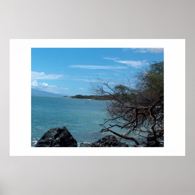 Poster Pêche à Hawaï (Devant)