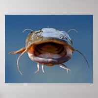 Pêche à la bouche