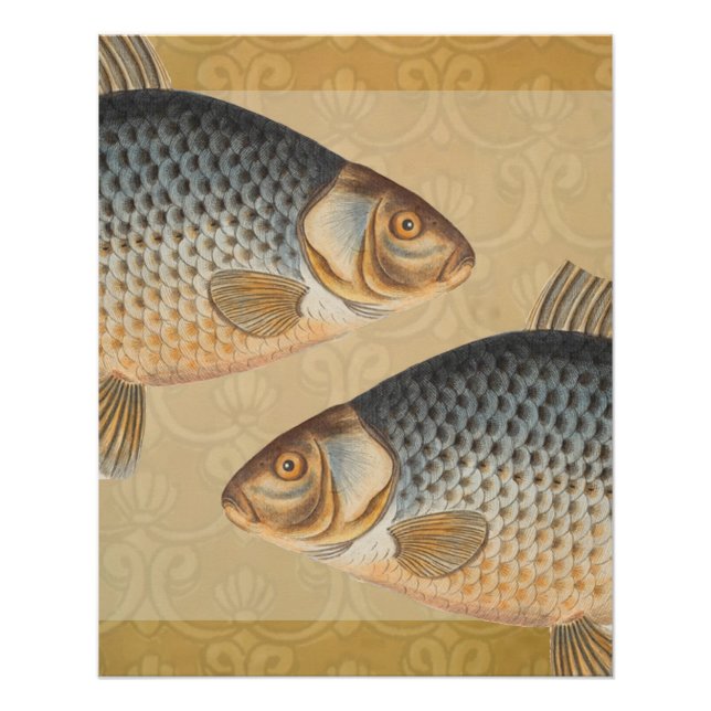 Poster Pêche à la carpe peinture à l'eau douce (Devant)
