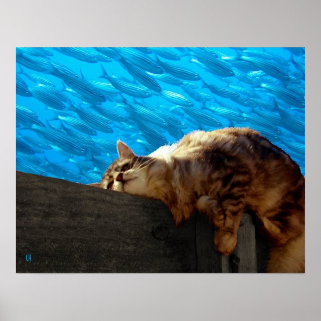 Poster Pêche au Catalogue (Devant)