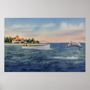 Poster Pêche au Tarpon