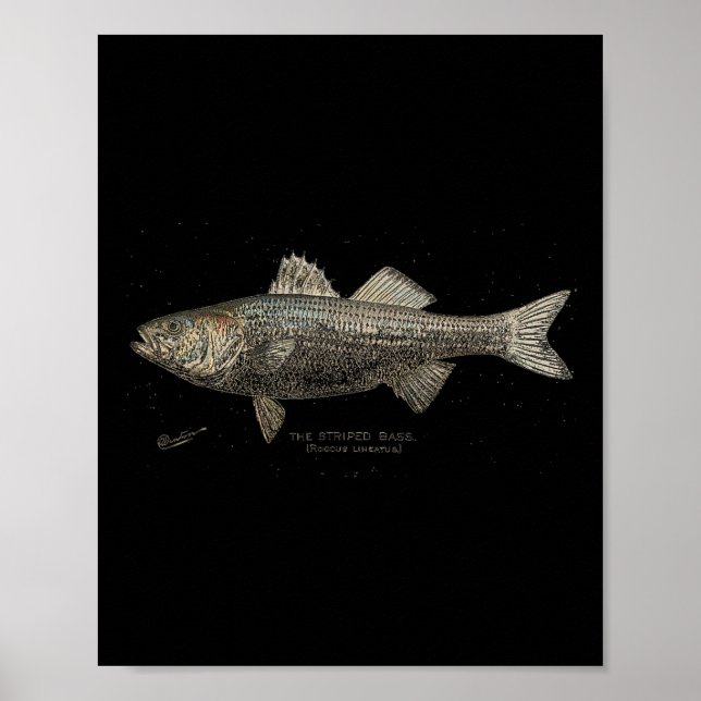 Poster Pêche B rayée  (Devant)