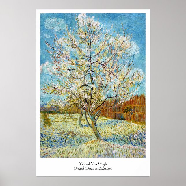 Poster Pêcher les arbres en fleurs Vincent Van Gogh (Devant)