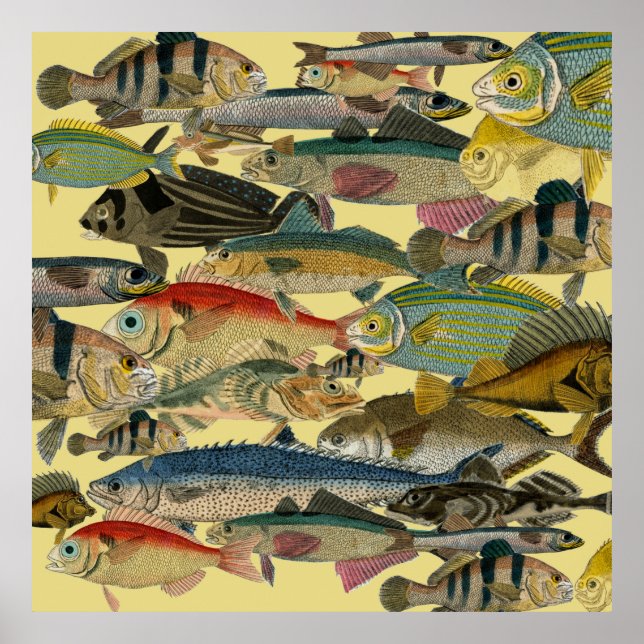 Poster Pêcheur Pêcheur En Mer Profonde Pêche Exotique Tro (Devant)