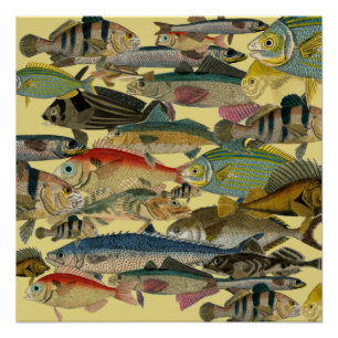 Poster Pêcheur Pêcheur En Mer Profonde Pêche Exotique Tro