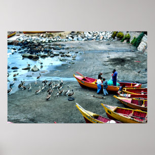 Poster Pêcheurs et pélicans, Valparaiso, Chili