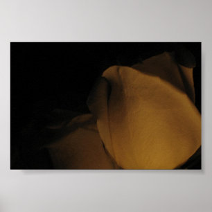 Poster Pédales d'un rose