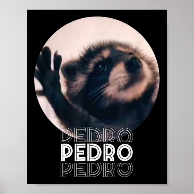 Poster Pedro Racoon Danse Populaire Mème Internet Mapache (Devant)