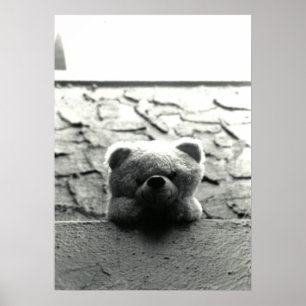 Poster Peek-a-Boo Teddy