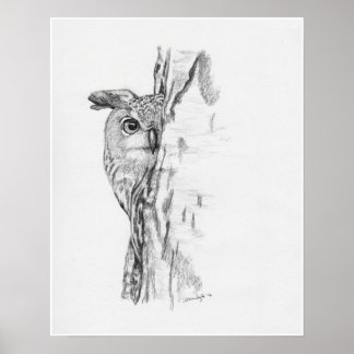 Poster Peeking Owl"