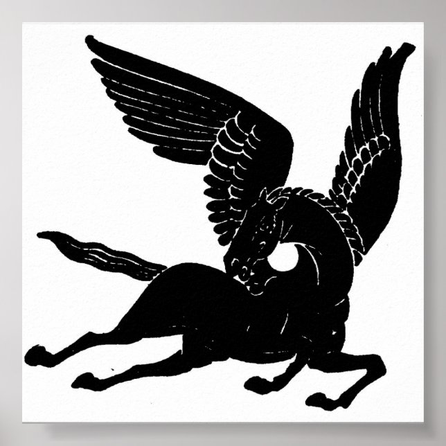 Poster Pegasus (Devant)