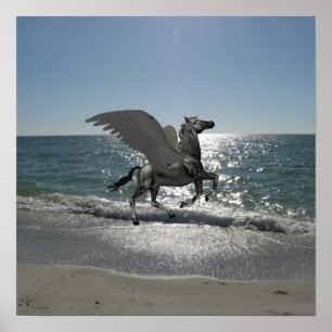 Poster Pegasus