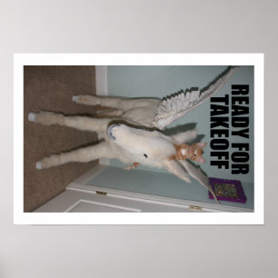 Poster PEGASUS and Hunter S. Thomcat